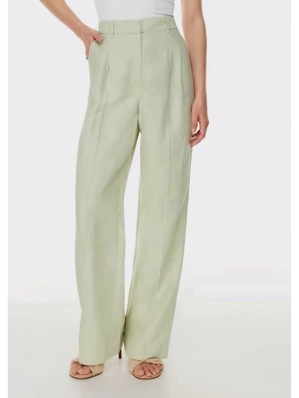 Aritzia Wide-Leg High-Rise Pants in Light Sage